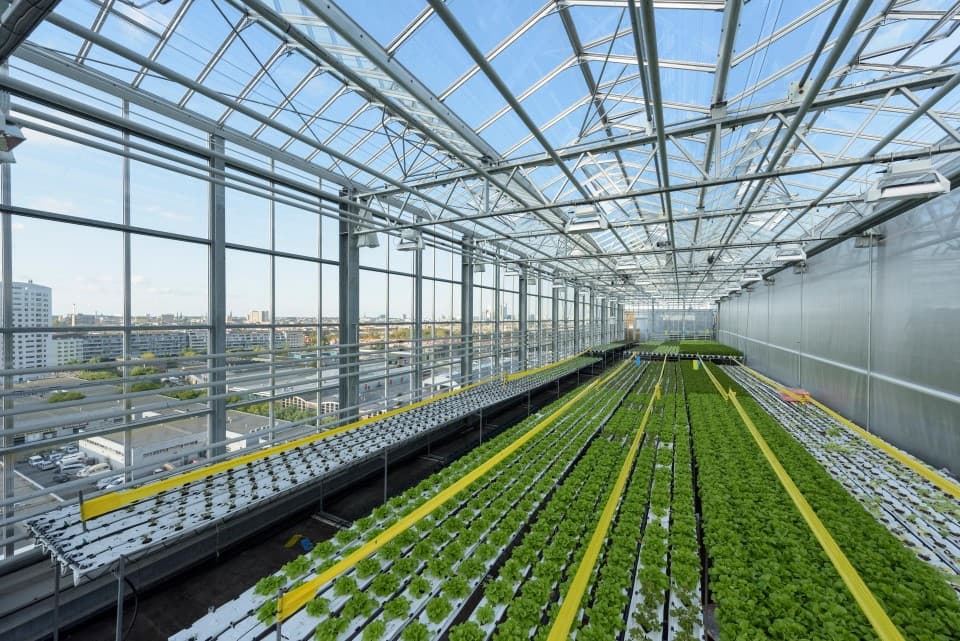 농업과 도시의 융합: 스마트 시티 농업 혁신 사례(Smart City Agriculture Innovation)