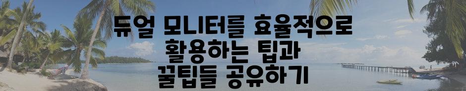 듀얼 모니터를 효율적으로 활용하는 팁과 꿀팁들 공유하기