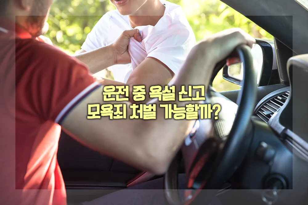 운전 중 욕설