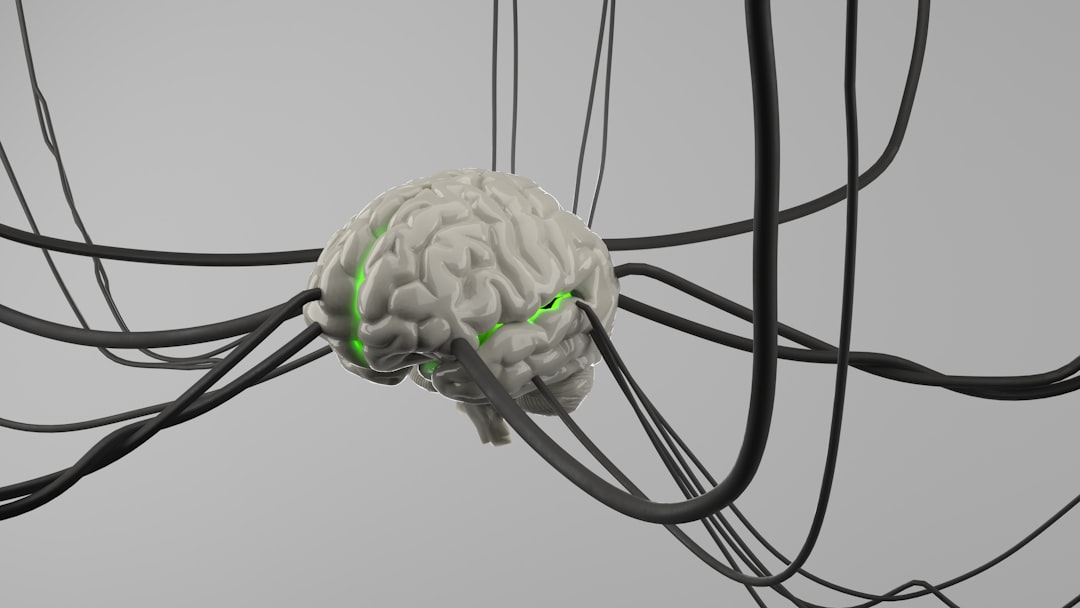 Brain.