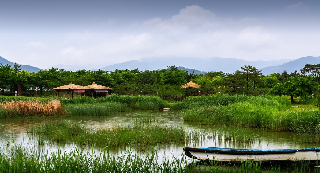 순천만습지 사진