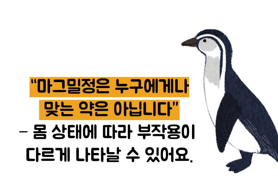 마그밀정 효능 부작용