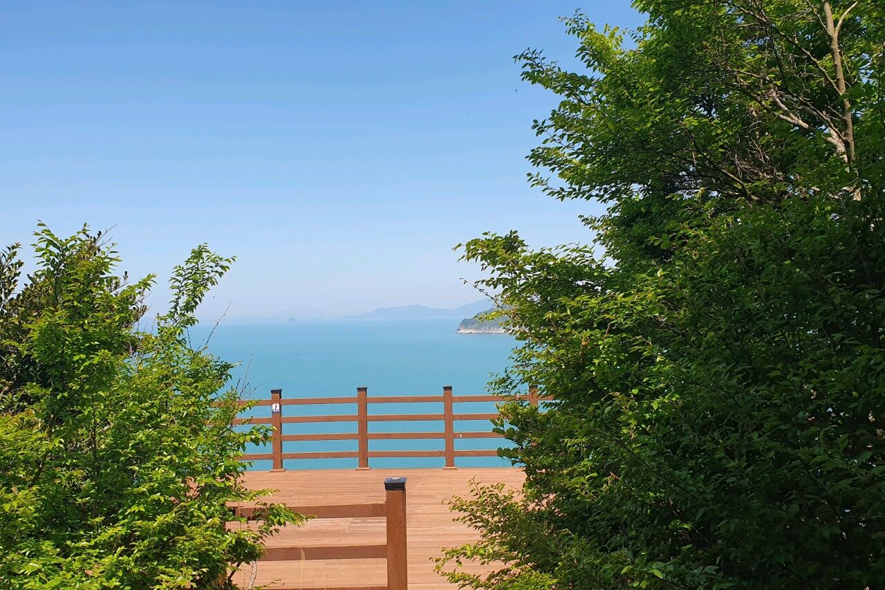 6시내고향 8297회 전남 여수 손죽도 배편 및 손죽도어촌마을식당