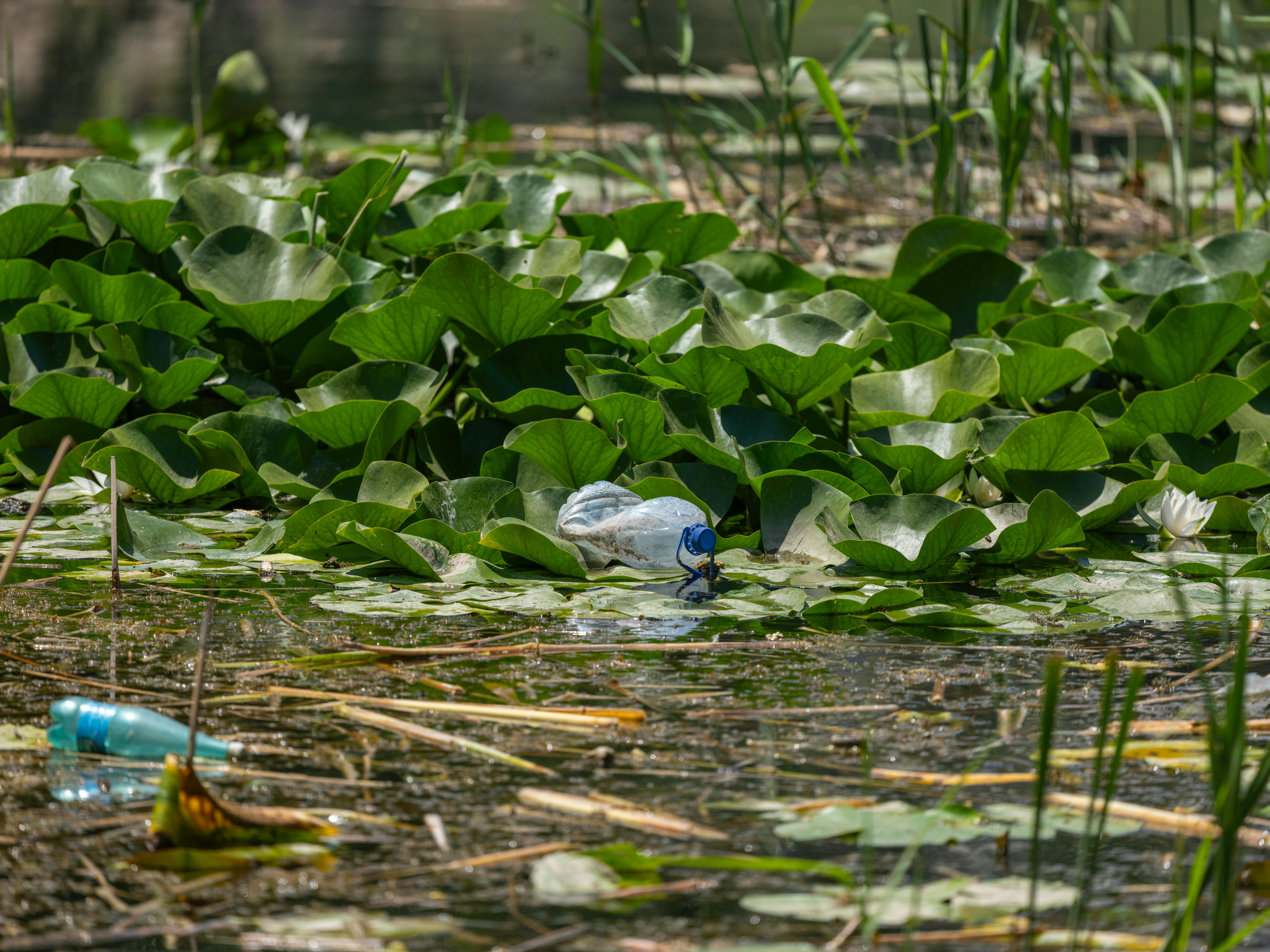 전남친과 다투는을 상징하는 이미지