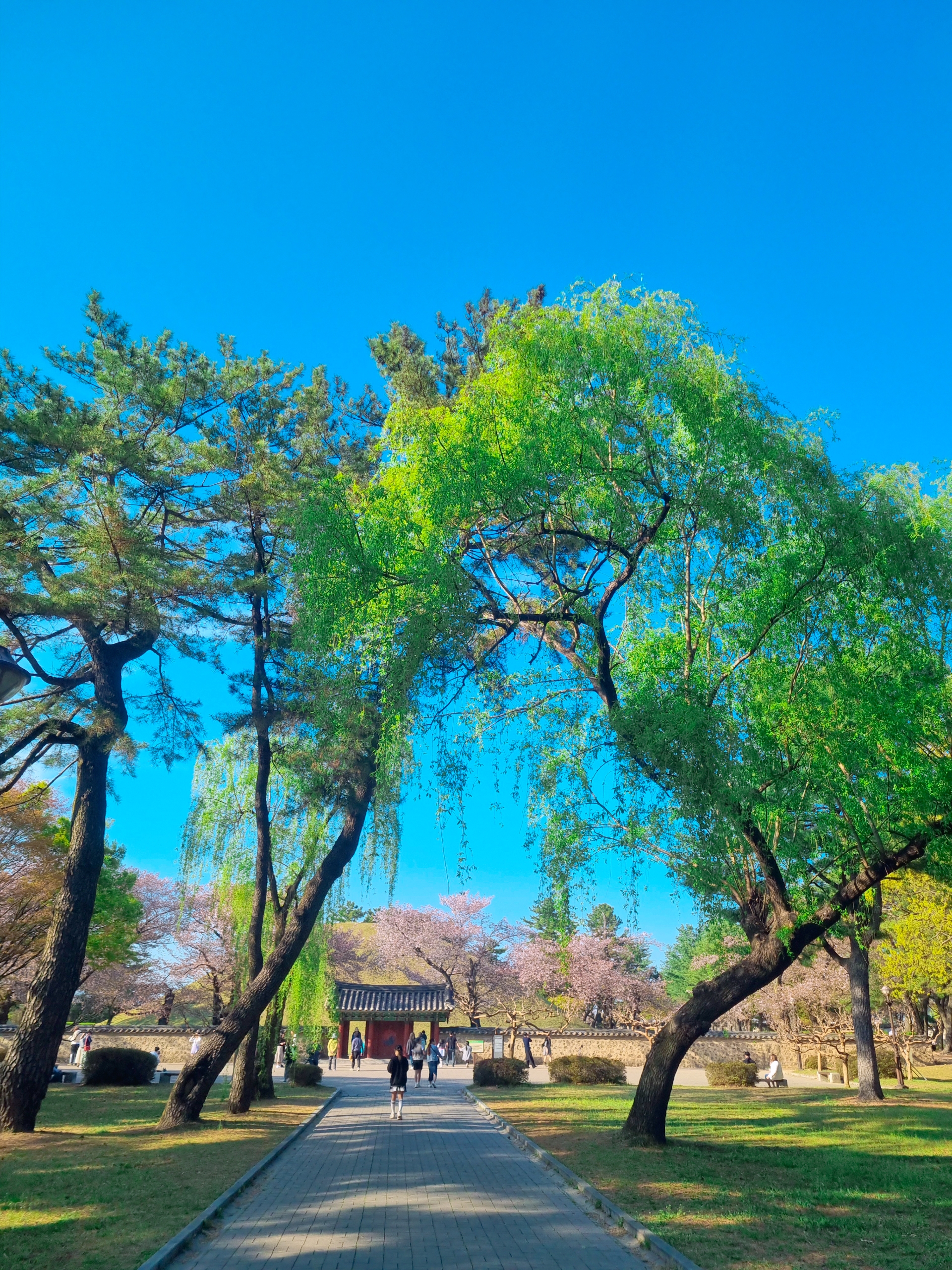 경주 대릉원