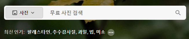 픽셀스-이미지-검색