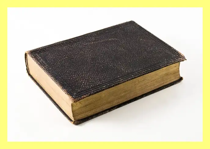 한강 소년이 온다