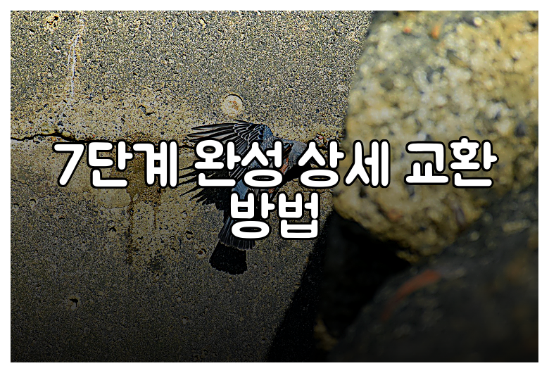 7단계 완성 상세 교환 방법