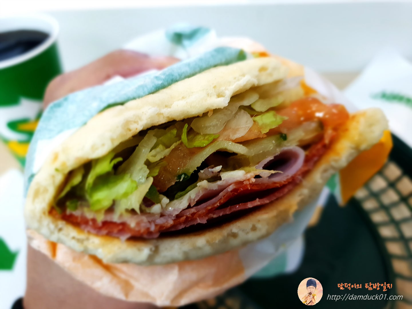 이탈리안 비엠티 아보카도 단면