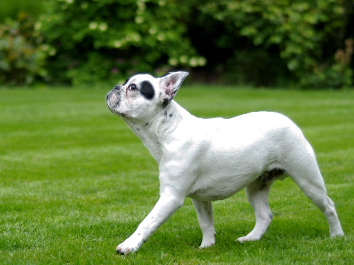 혈압을 낮추는데 도움이 되는 운동