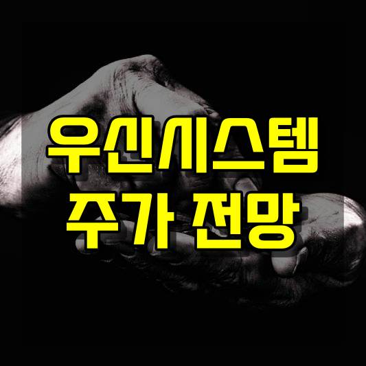 우신시스템 주가 전망