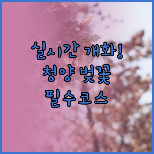 2026 청양 벚꽃 축제 즐기기 실시..