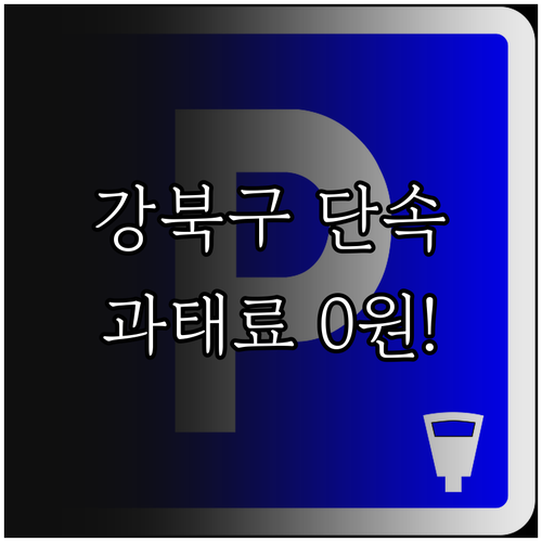 강북구 주정차 단속 알림 서비스로 과..