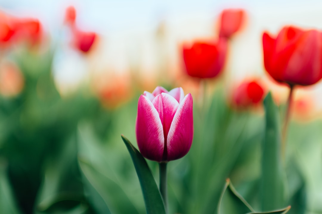 April