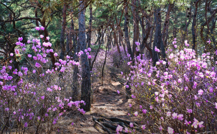 괴산 산막이옛길