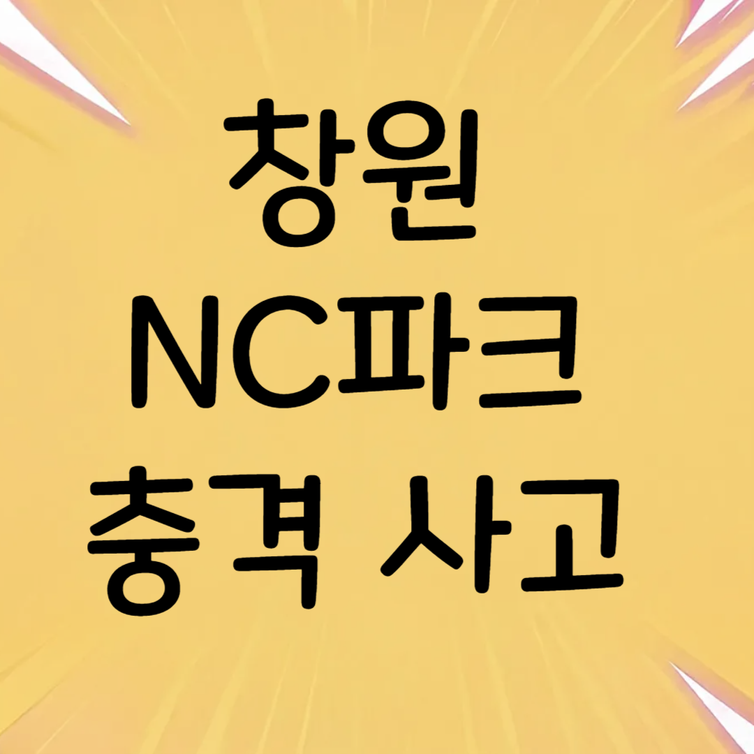 창원 NC파크 충격 사고
