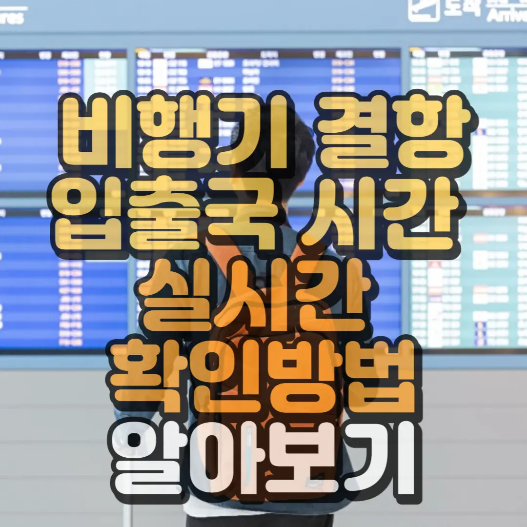 비행기 결항 입출국 시간 정보