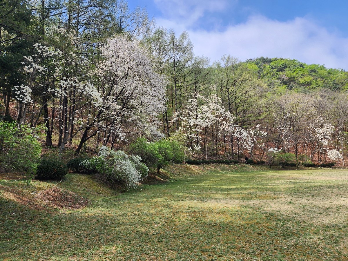 안양 수목원 이미지 사진