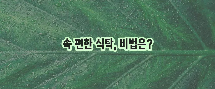 위 건강에 최고인 음식들 꼭 알아두세요!