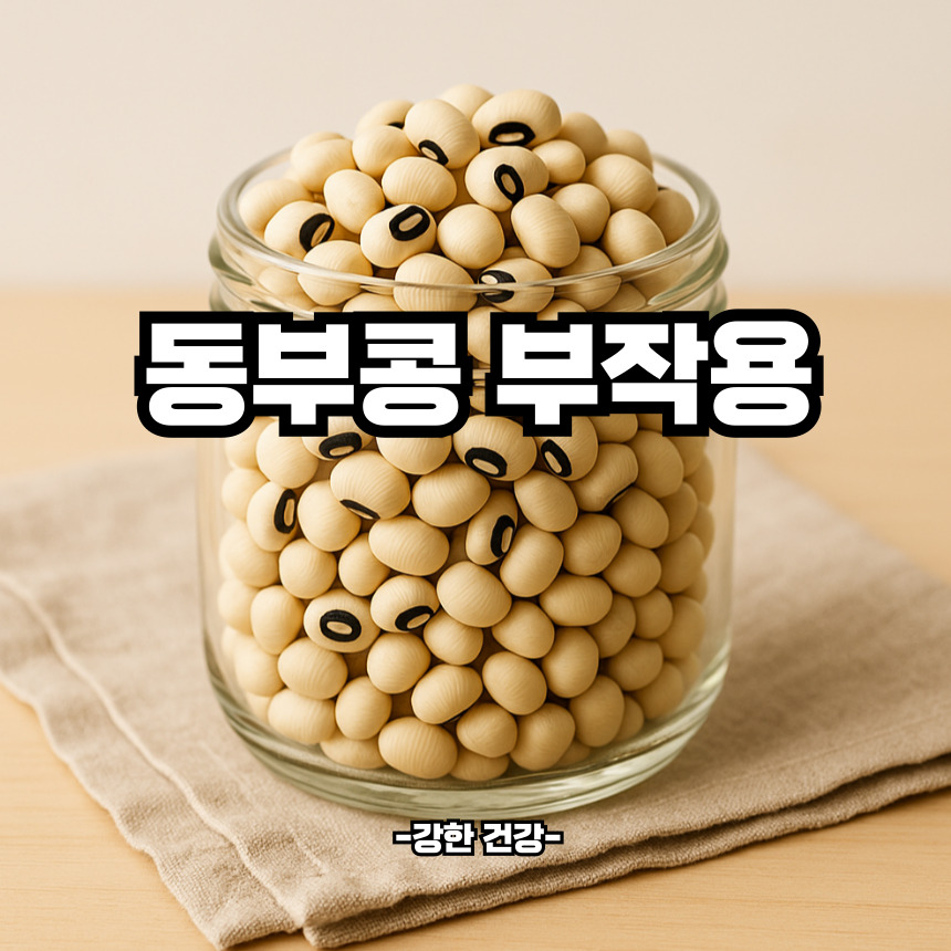 동부콩 부작용
