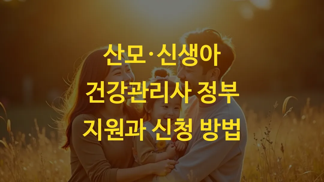 산모 신생아 건강관리사 정부 지원과 신청 방법