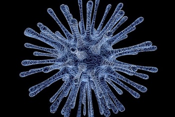 일본감염병 STSS, ,STSS 증상, ,STSS치료, ,STSS 예방