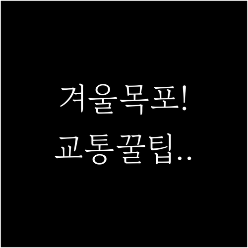 겨울철 목포 여행 필수 코스와 대중교..