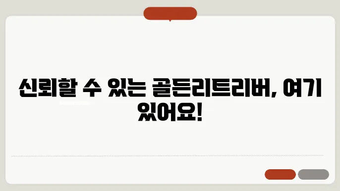 골든리트리버의 홀로서기