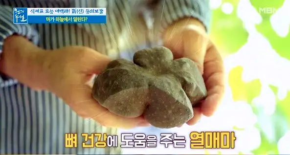 6시내고향 전남 영광 위장 건강 뼈 골다공증 도움 열매마 하늘마 파는 곳 전국 택배 온라인 전화 주문 추천 