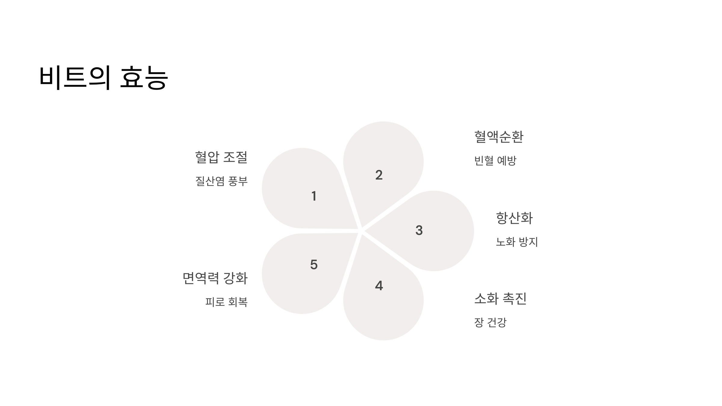 비트 사진입니다.