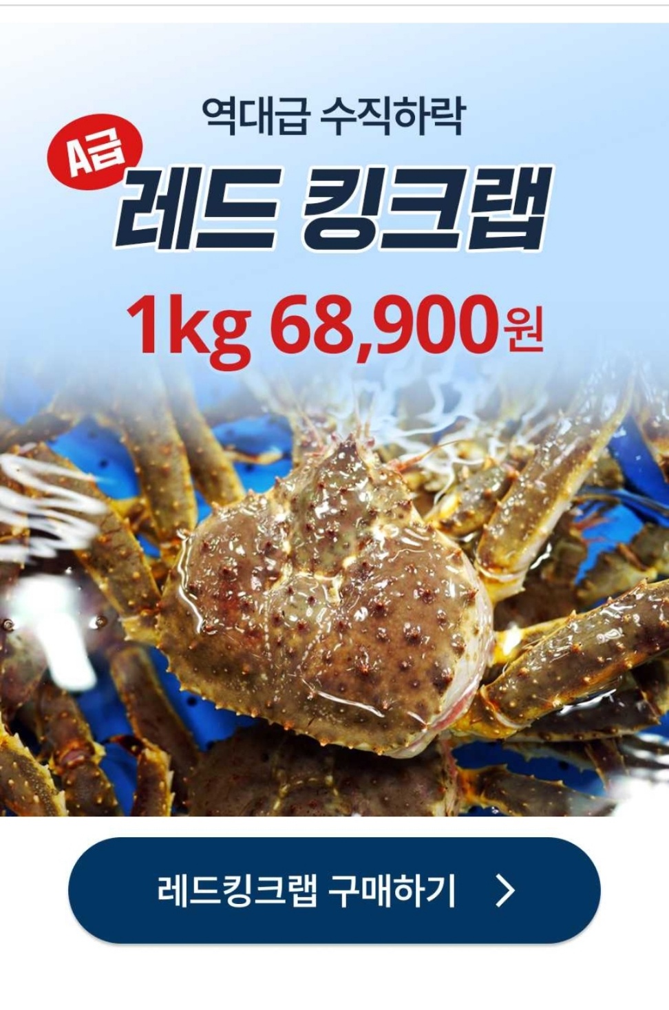 킹크랩 시세
