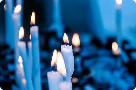 이재명무죄탄원서