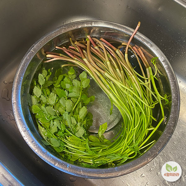물에-담긴-한재미나리