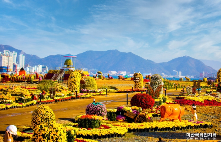마산 국화축제