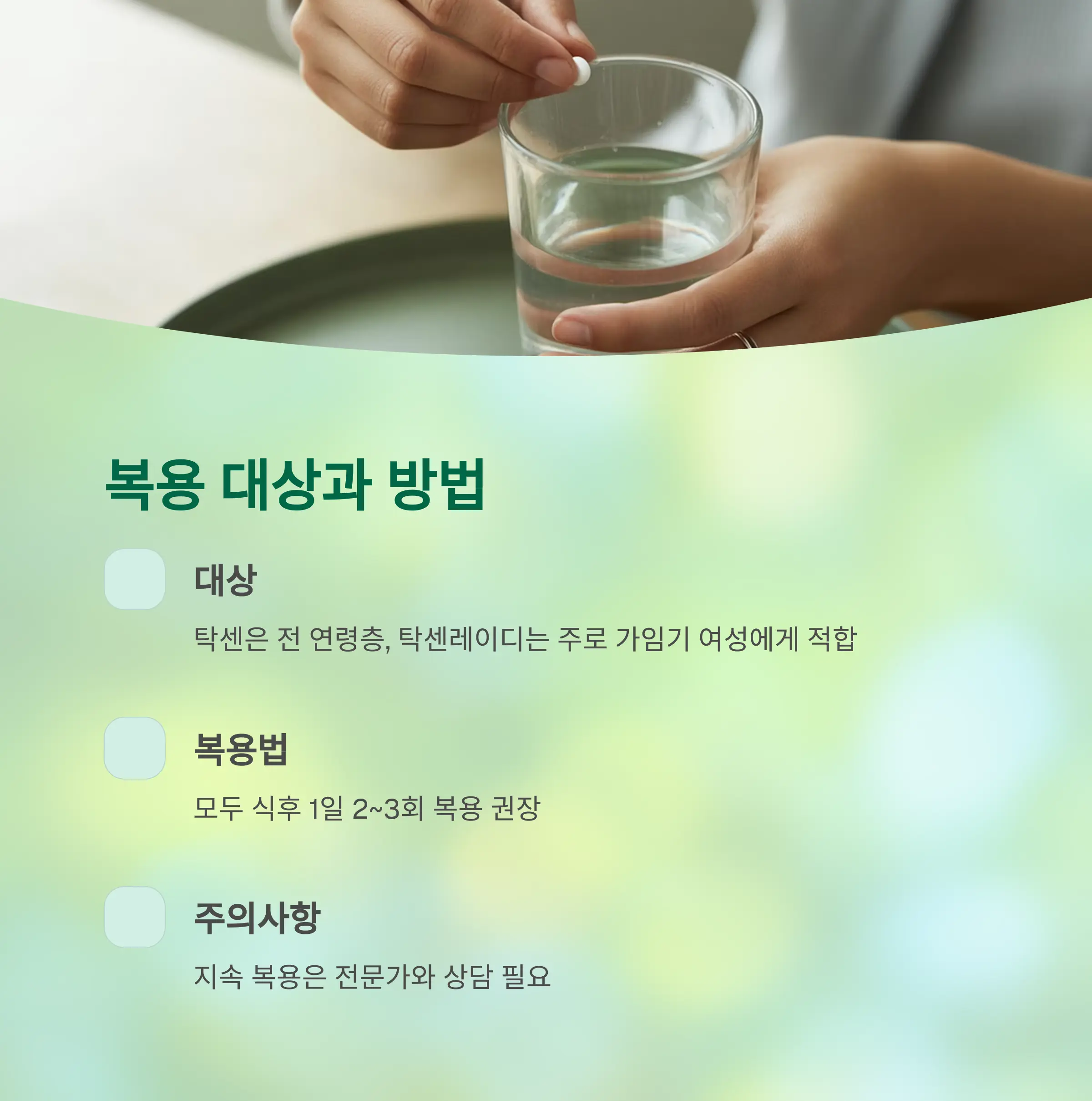 탁센과 탁센레이디, 어떤 차이가 있을까요?