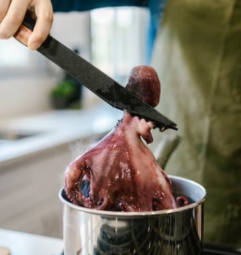 낙지 연포탕 만드는 법 