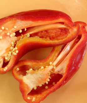 파프리카 효능 부작용 고르는법 칼로리