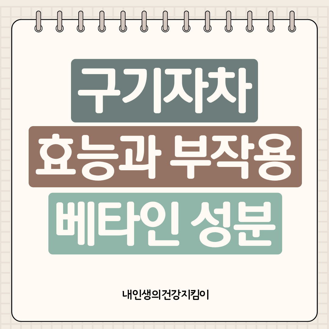 구기자차 효능과 부작용, 베타인 성분이 간 건강에 미치는 놀라운 변화