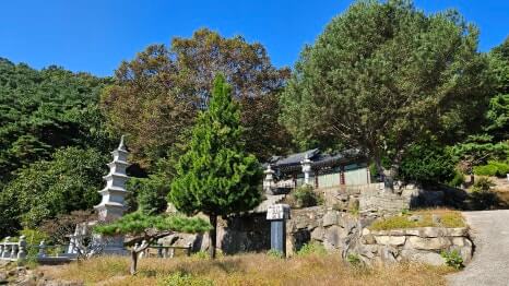 안성 쌍미륵사 : 두 미륵불이 전하는 치유와 희망의 도량