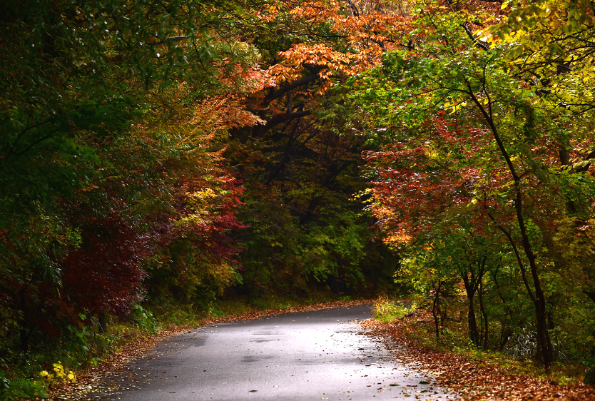 구례 지리산피아골