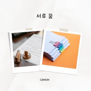 서류 꿈해몽
