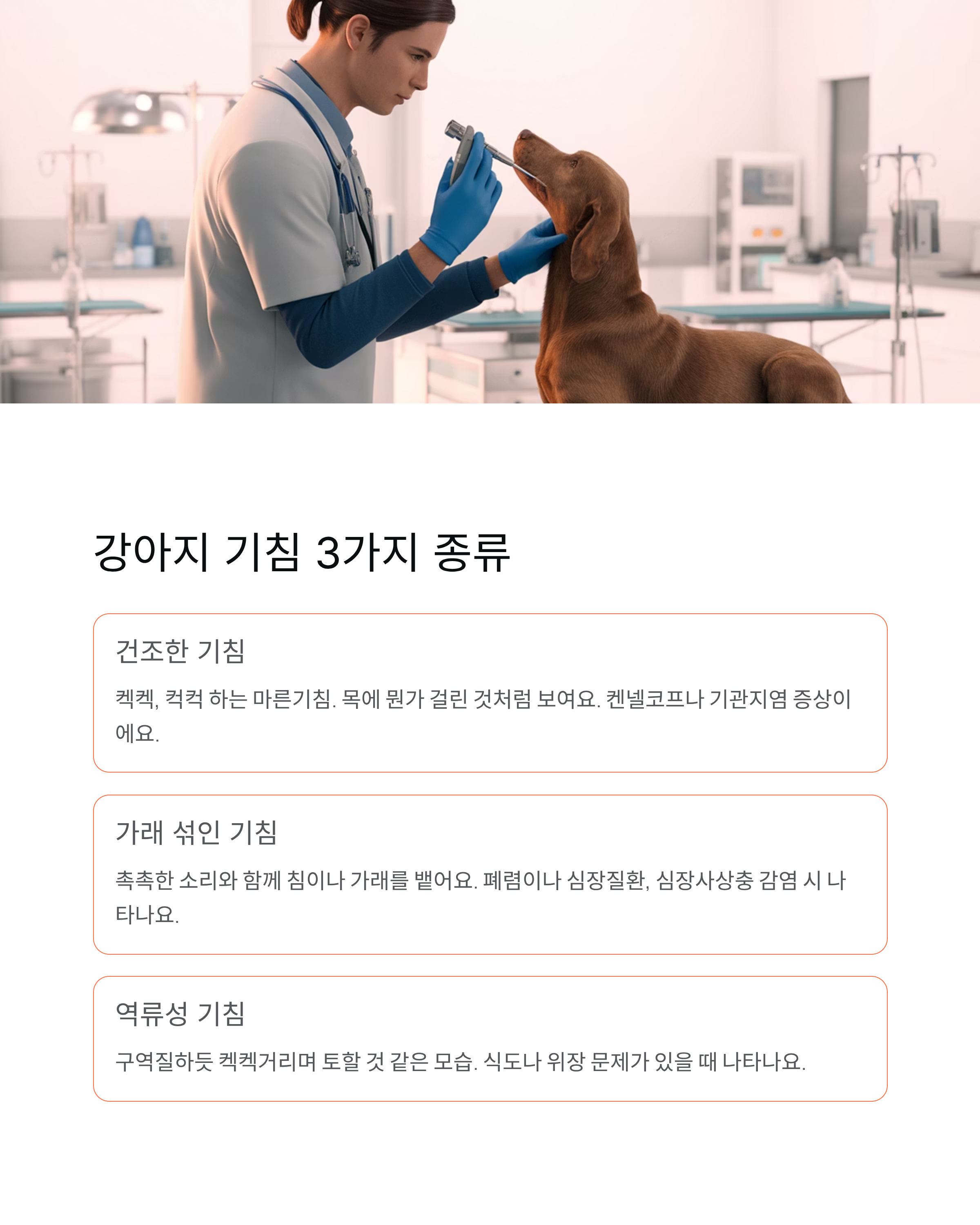 강아지 기침 원인·증상·치료법 총정리! 병원 가야 할 때는?