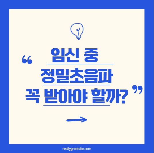 임신 중 정밀초음파 꼭 받아야 할까요?