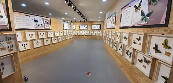 영암곤충박물관
