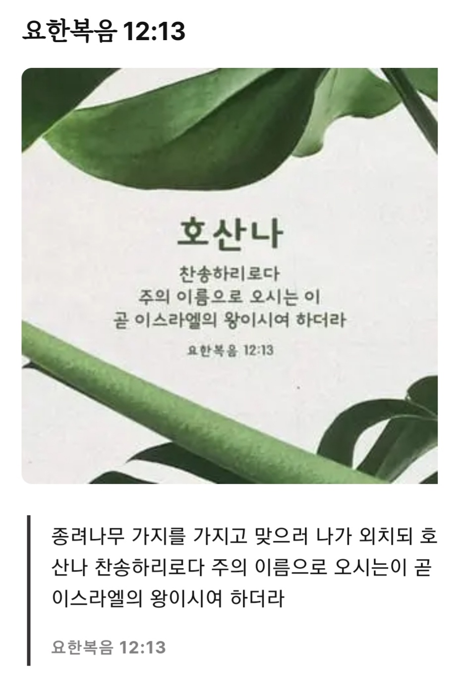 요한복음12장13절