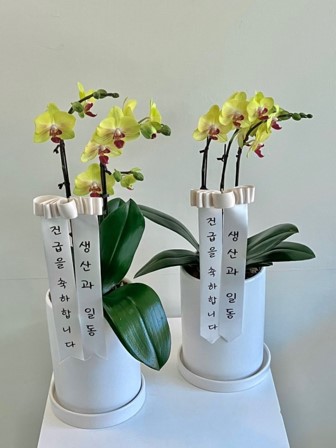 승진-관련-꿈-승진-축하난