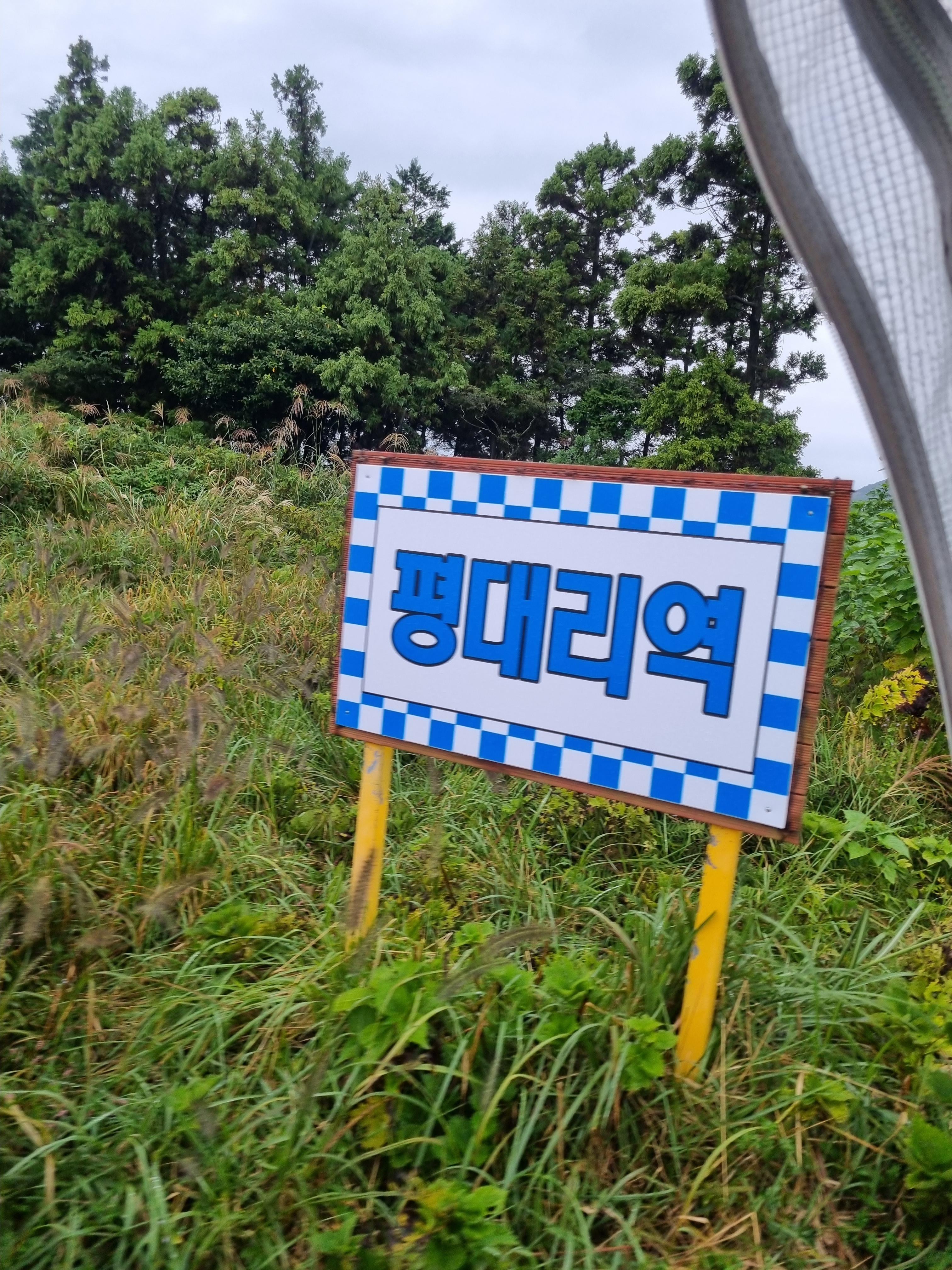 제주레일바이크