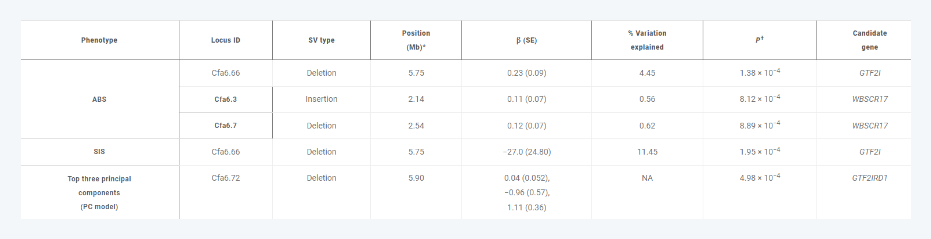 윌리엄스-보이렌 증후군