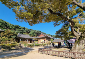 부처님오신날유명사찰