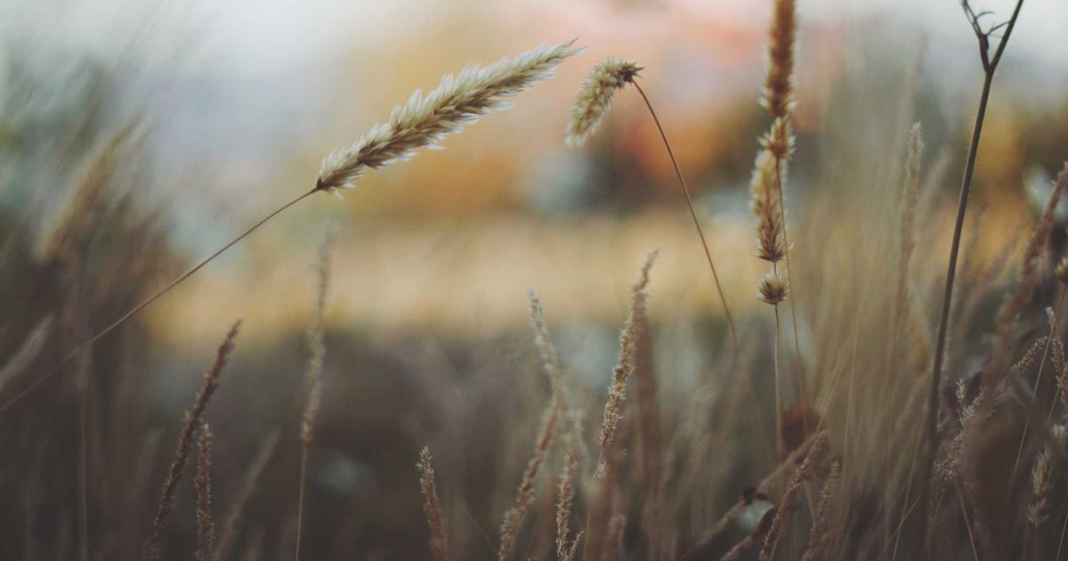 person looking stressed at bank statements with high interest rates